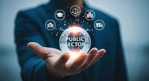 Public Sector